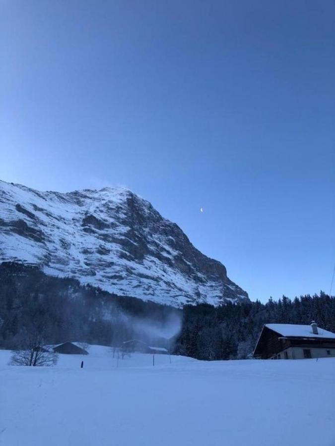 Romantisches Plaetzchen In Der Natur Villa Grindelwald Ngoại thất bức ảnh