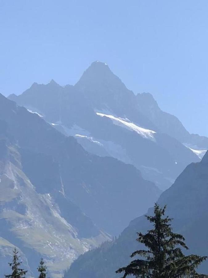 Romantisches Plaetzchen In Der Natur Villa Grindelwald Ngoại thất bức ảnh