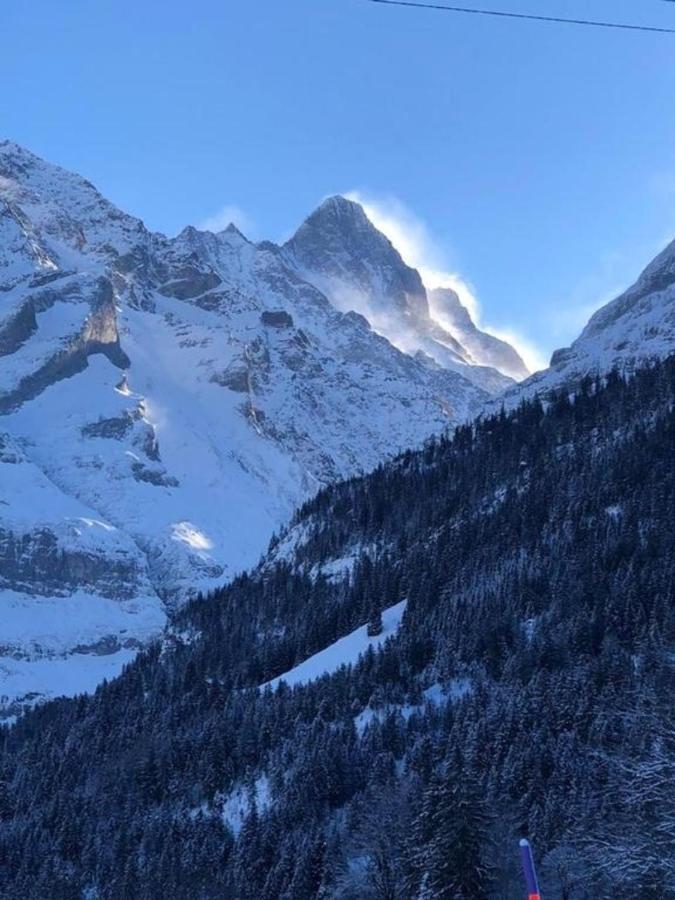 Romantisches Plaetzchen In Der Natur Villa Grindelwald Ngoại thất bức ảnh