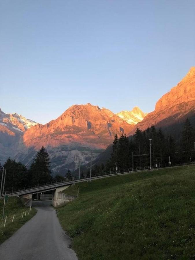 Romantisches Plaetzchen In Der Natur Villa Grindelwald Ngoại thất bức ảnh