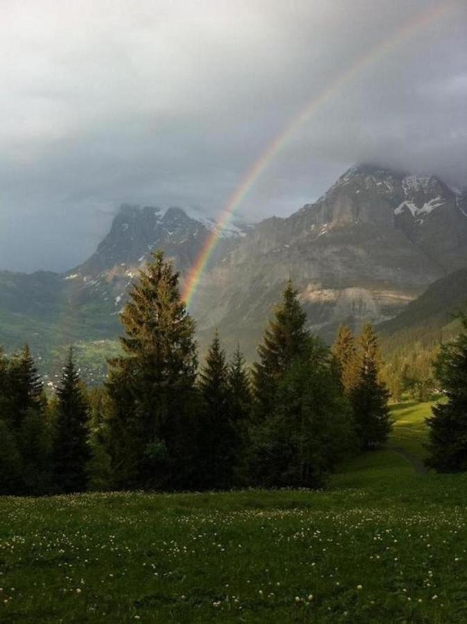 Romantisches Plaetzchen In Der Natur Villa Grindelwald Ngoại thất bức ảnh